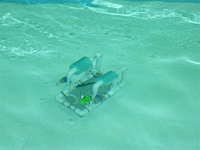 Oregon Area Home School Students Building Underwater Robotic "Sea Perch" Vehicle